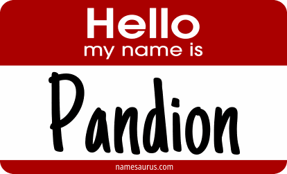 Hello my name is Pandion png download