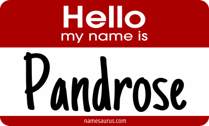 Hello my name is Pandrose png download