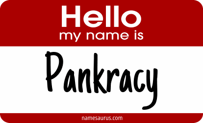 Hello my name is Pankracy png download