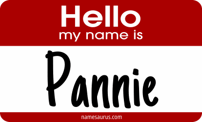 Hello my name is Pannie png download