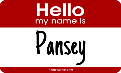 Hello my name is Pansey png download