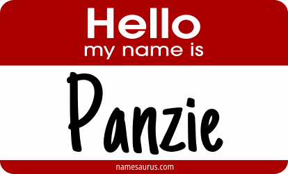 Hello my name is Panzie png download
