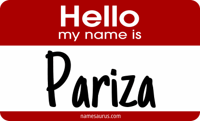 Hello my name is Pariza png download