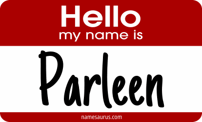 Hello my name is Parleen png download