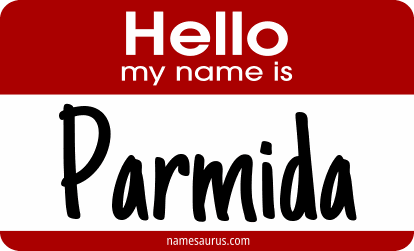 Hello my name is Parmida png download