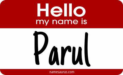 Hello my name is Parul png download