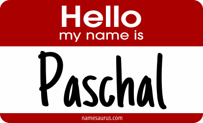 Hello my name is Paschal png download