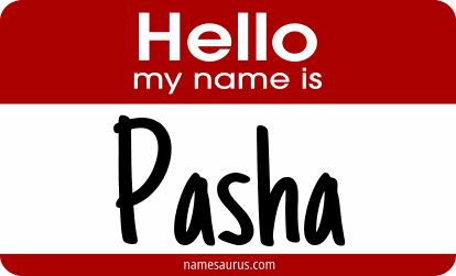 Hello my name is Pasha png download