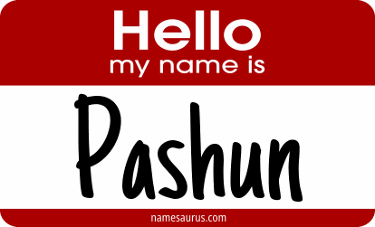 Hello my name is Pashun png download