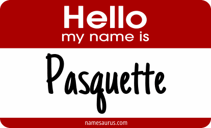 Hello my name is Pasquette png download