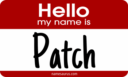 Hello my name is Patch png download
