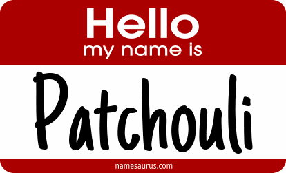 Hello my name is Patchouli png download