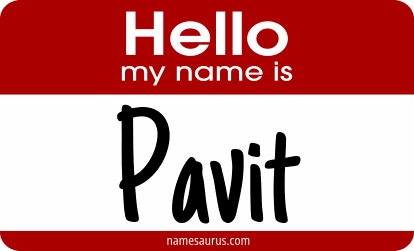 Hello my name is Pavit png download