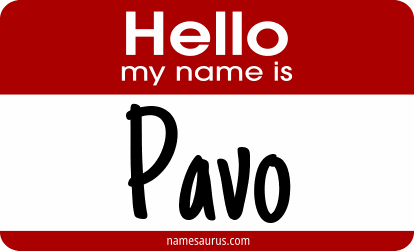 Hello my name is Pavo png download
