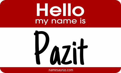 Hello my name is Pazit png download
