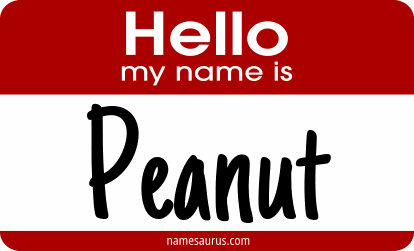 Hello my name is Peanut png download