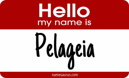Hello my name is Pelageia png download