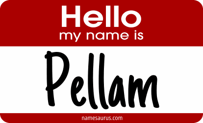 Hello my name is Pellam png download