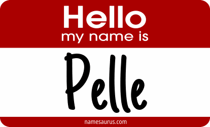 Hello my name is Pelle png download