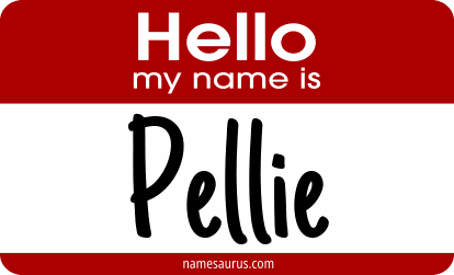 Hello my name is Pellie png download