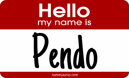 Hello my name is Pendo png download