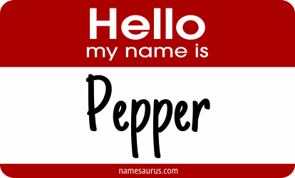 Hello my name is Pepper png download