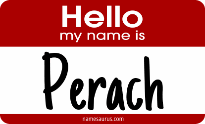 Hello my name is Perach png download