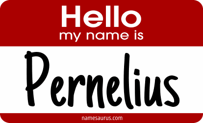 Hello my name is Pernelius png download