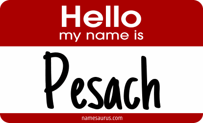 Hello my name is Pesach png download