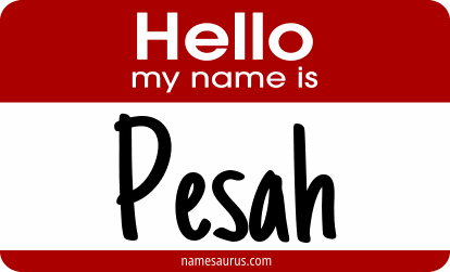 Hello my name is Pesah png download