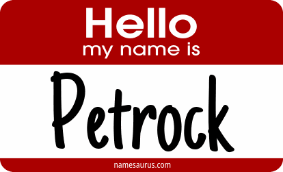 Hello my name is Petrock png download
