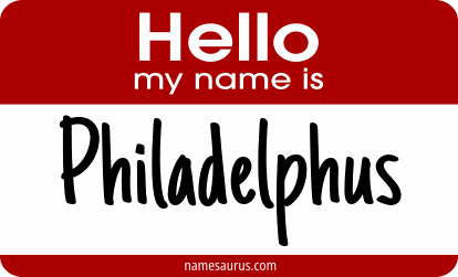 Hello my name is Philadelphus png download