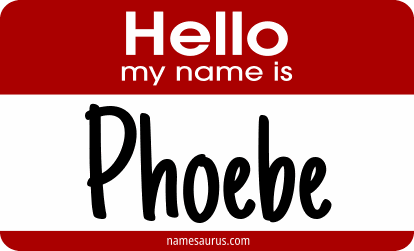 Hello my name is Phoebe png download