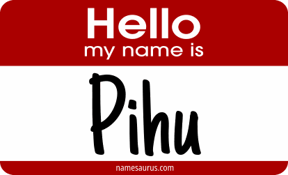 Hello my name is Pihu png download