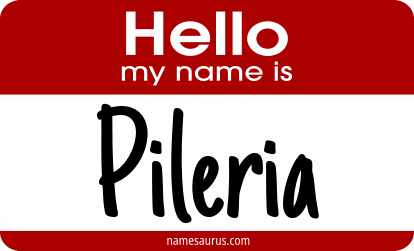 Hello my name is Pileria png download