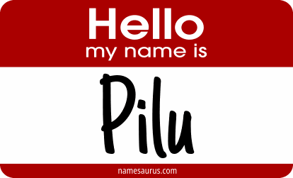 Hello my name is Pilu png download