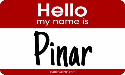 Hello my name is Pinar png download
