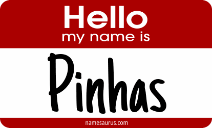 Hello my name is Pinhas png download