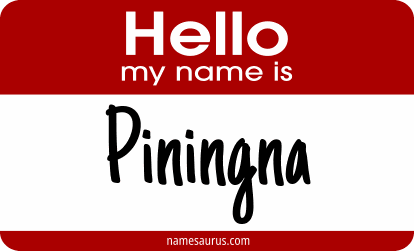 Hello my name is Piningna png download