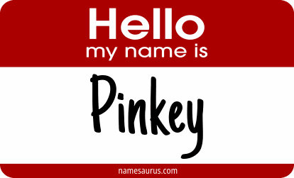 Hello my name is Pinkey png download