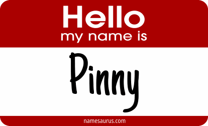 Hello my name is Pinny png download