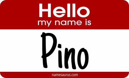 Hello my name is Pino png download