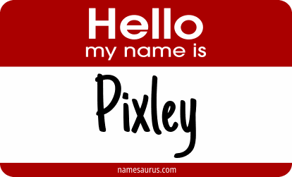 Hello my name is Pixley png download