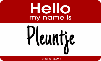 Hello my name is Pleuntje png download