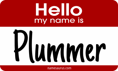 Hello my name is Plummer png download
