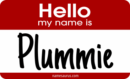 Hello my name is Plummie png download