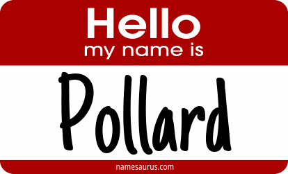 Hello my name is Pollard png download