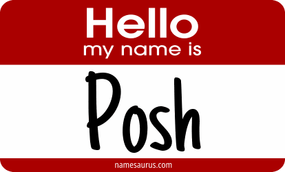 Hello my name is Posh png download