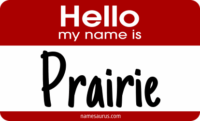 Hello my name is Prairie png download
