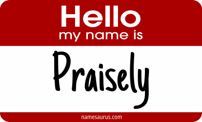 Hello my name is Praisely png download